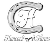 Hancock Farms